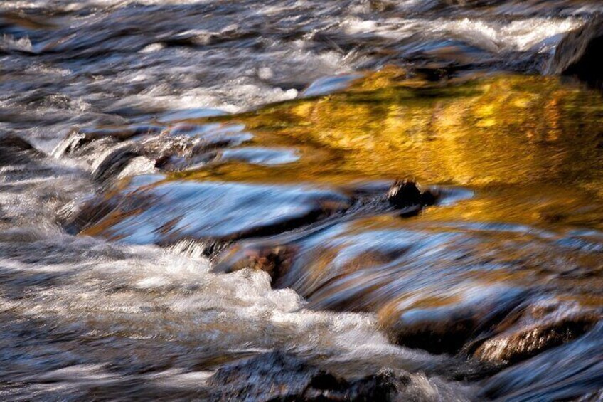 4-Hour Photography Class in the Pisgah National Forest