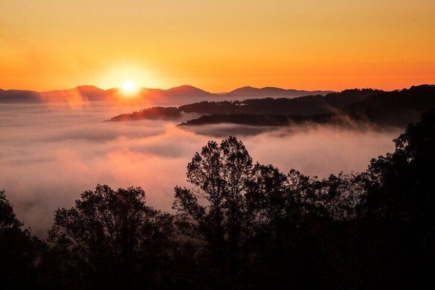 4-Hour Photography Class in the Pisgah National Forest