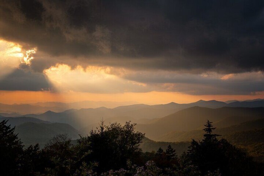 4-Hour Photography Class in the Pisgah National Forest