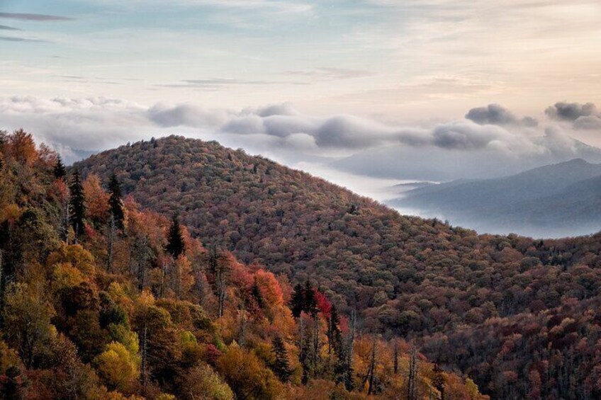 Half-Day Tour With Instruction in Autumn Color Photography