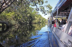 Everglades Half Day Serenity Cruise