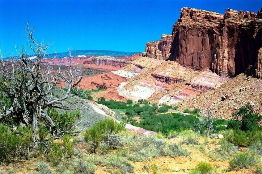 5-Day Tour in Utah visiting 5 National Parks