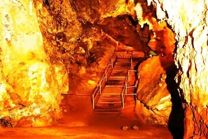 Cradle of humankind and lesedi cultural village tour