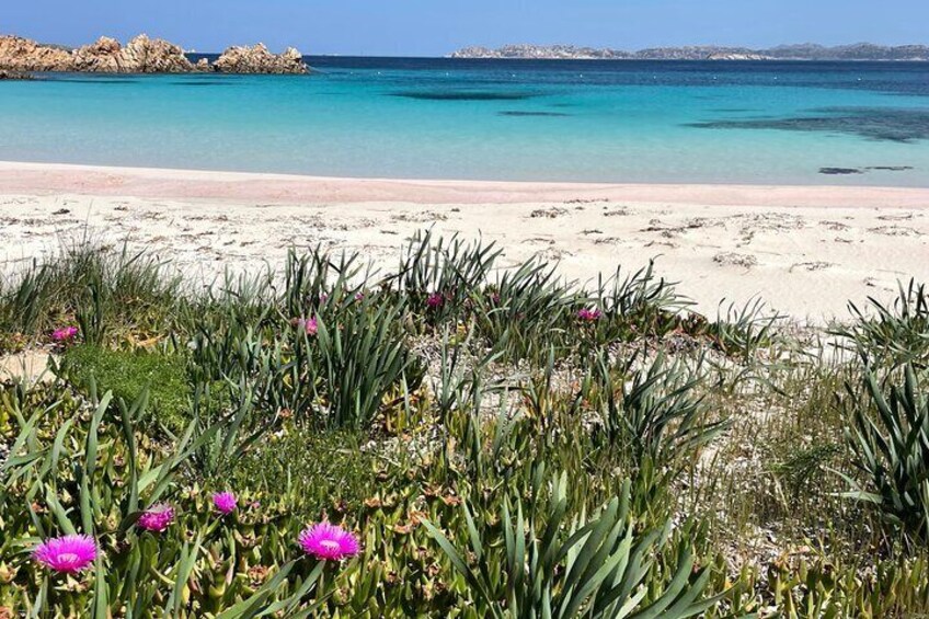 Private Sailboat Tour in the Maddalena Archipelago