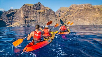 Kayaking & Whale-Watching Experience in Los Gigantes