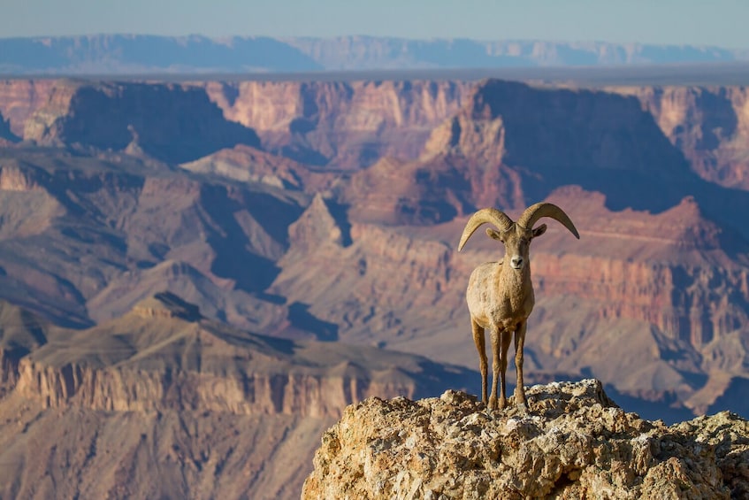Grand Canyon South Rim Self-Guided Driving Tour