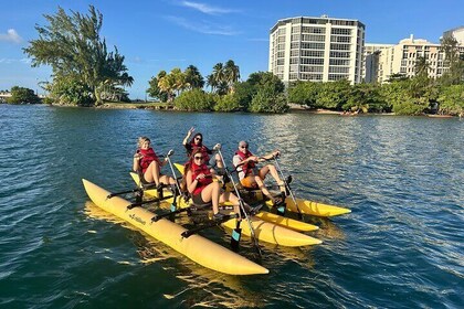 Tour en bici acuática por la Laguna del Condado