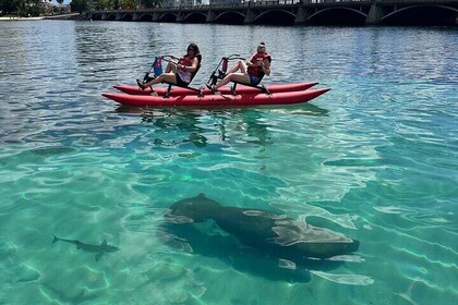 Excursión de aventura en chiliboat en Condado Lagoon