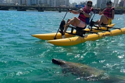 Condado Lagoon Chiliboats Day Tour