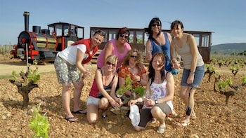 Guided Winery Train Tour with Local Produce, Wine Tasting & Meal
