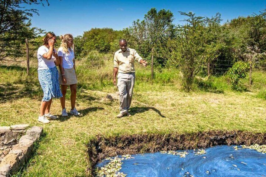 Guided game walks - Walking safari offers real educational experience.It's up close and personal with nature. Rangers are professional field guides and bring first-hand knowledge and experience.