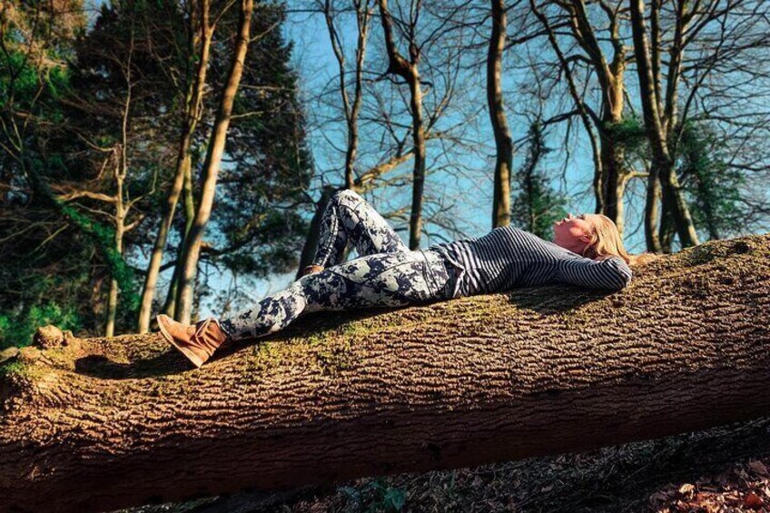 Half-day Forest Bathing and Yoga in Brighton's Woodlands