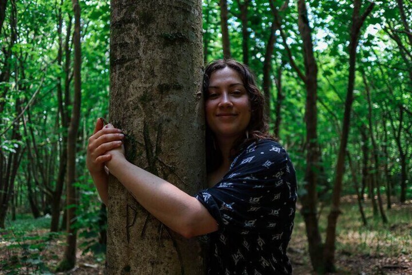 Half-day Forest Bathing and Yoga in Brighton's Woodlands