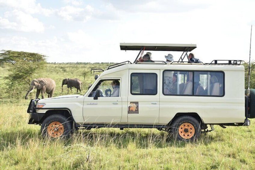 Game drives - an adventure that entails viewing wildlife in the comfort of safari vehicle, a sure way to give you that classical safari feeling. Safari game drives are one of the most popular ways to 