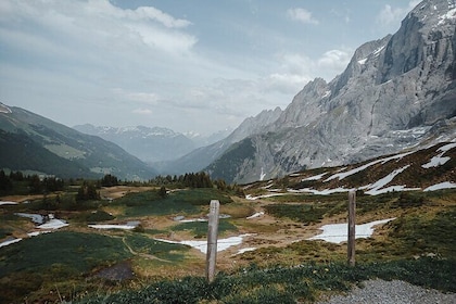 Monumentalps Road Cycling Tour: Grosse Scheidegg from Interlaken