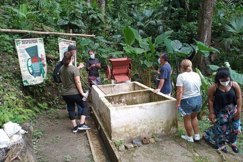 Full-Day Walking and Hiking Tour in Minca with Cocoa Workshop