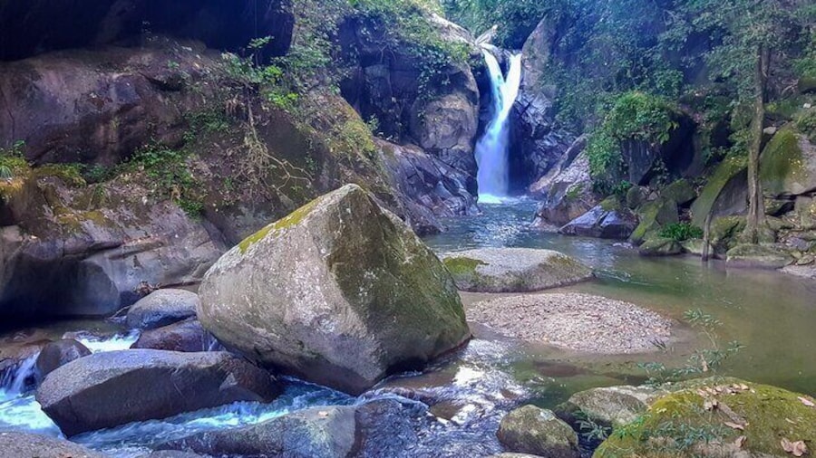 Full-Day Hiking Tour in Minca with coffee & Cocoa Workshop