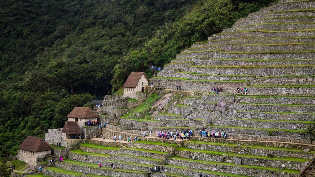 People walking on the terraced hillside of Machu Picchu