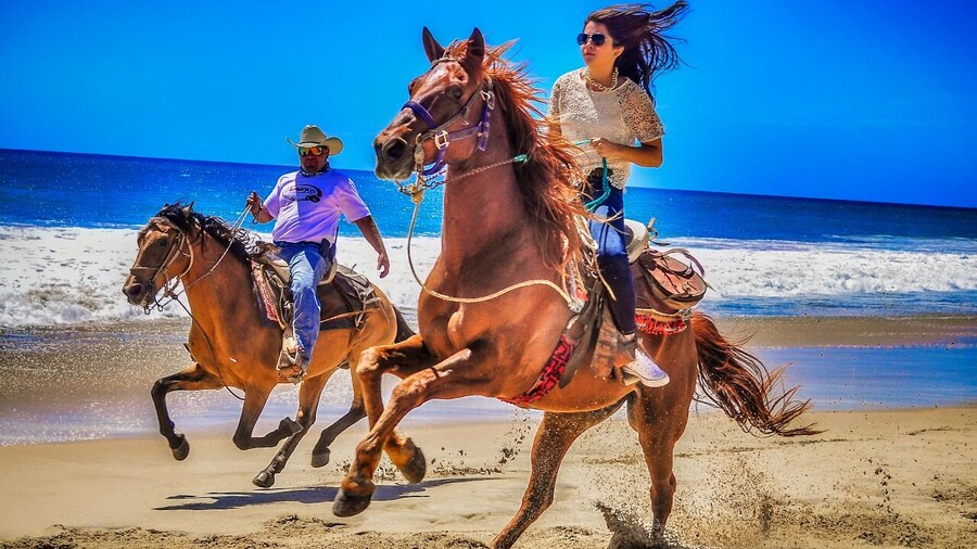 Migriño Beach Horseback Riding Experience