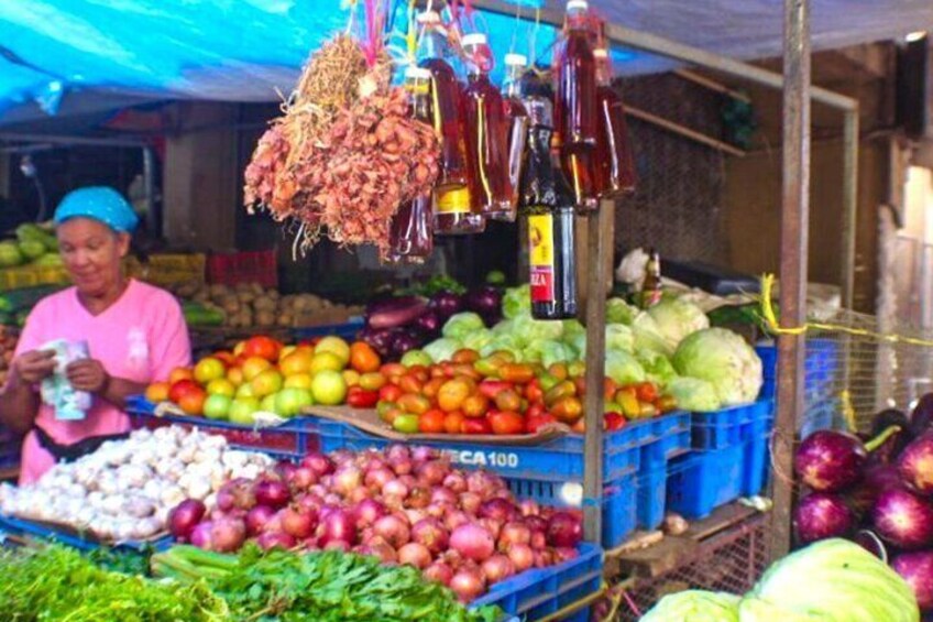 Half-Day Small-Group Cultural Tour in Dominican Republic