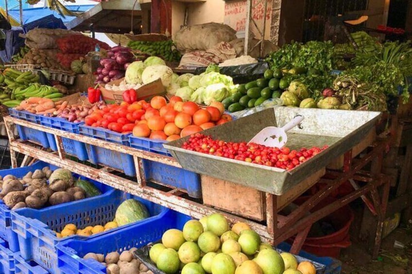 Half-Day Small-Group Cultural Tour in Dominican Republic