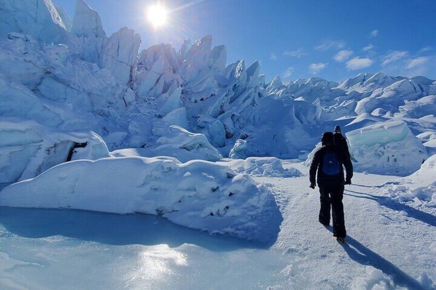 Full-Day Matanuska Glacier Small-Group Excursion