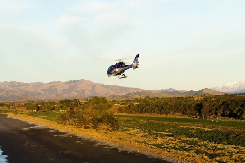 Kaikoura 90-minute Grand Alpine Helicopter Tour