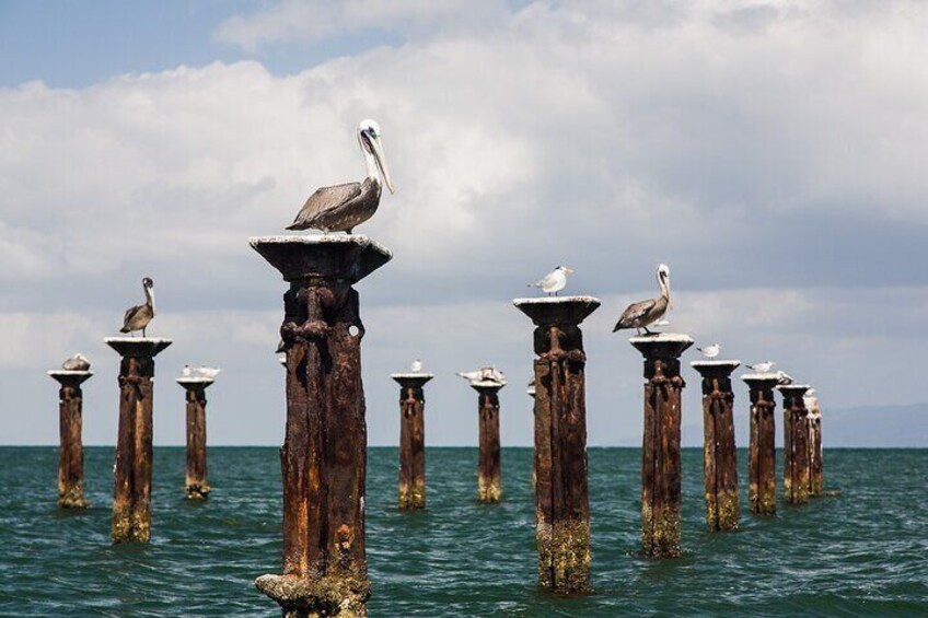 Full day excursion to Los Haitises Park and Barcadi Island
