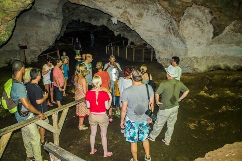 Full day excursion to Los Haitises Park and Barcadi Island