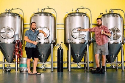 Craft Beer Excellence: Sunshine Coast Private Brewery Tour