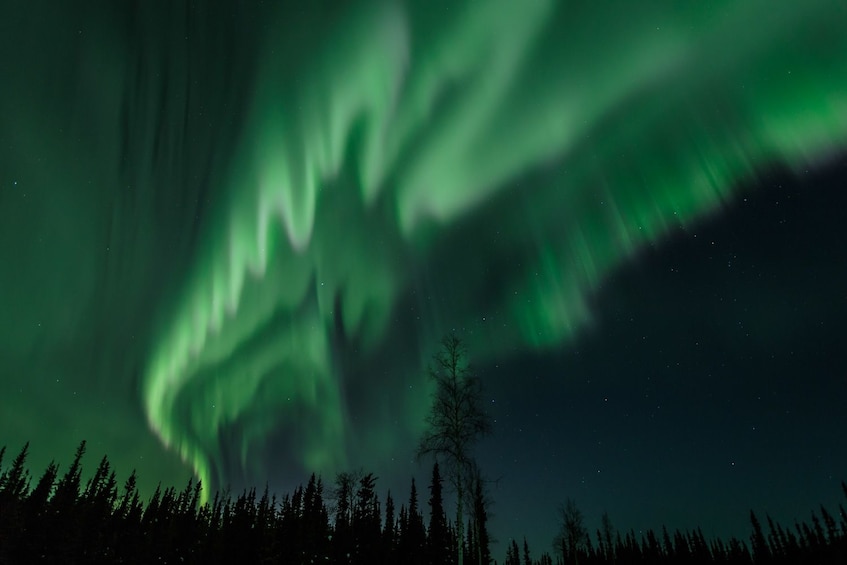 Aurora / Northern Lights Lodge tour.