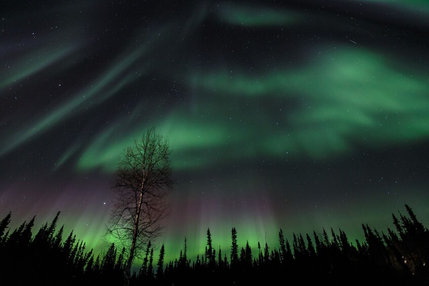 Aurora / Northern Lights Lodge tour.