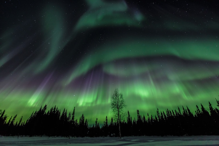 Aurora / Northern Lights Lodge tour.