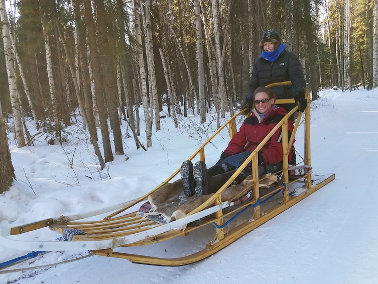 Dog Sledding Adventure