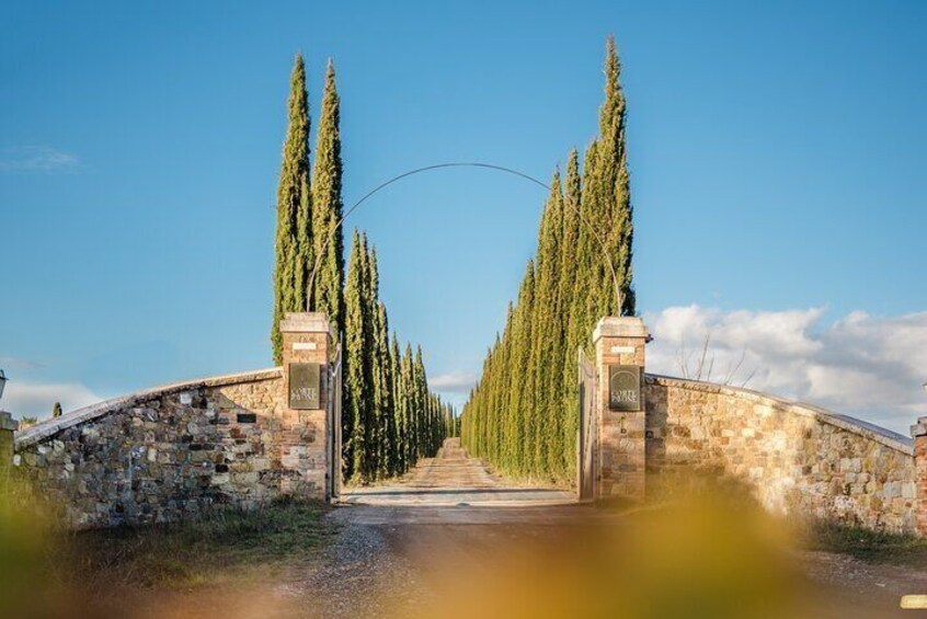 Tasting Brunello Cru with a bite to eat