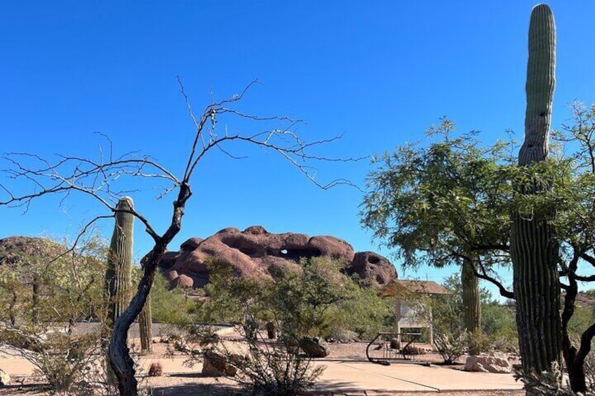 3 Cities & Nature Tour. Phoenix, Scottsdale and Tempe. Art, Food, History, Shop.