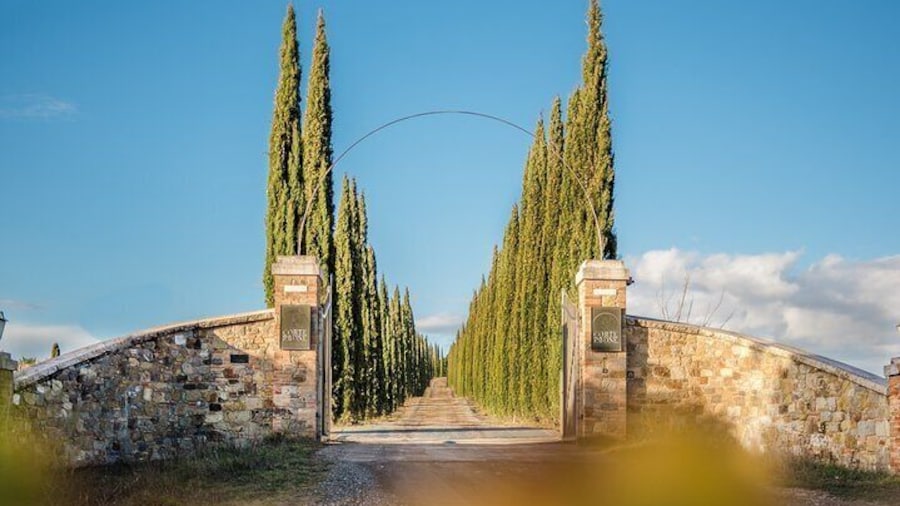 Classic Wine Tasting in Montalcino