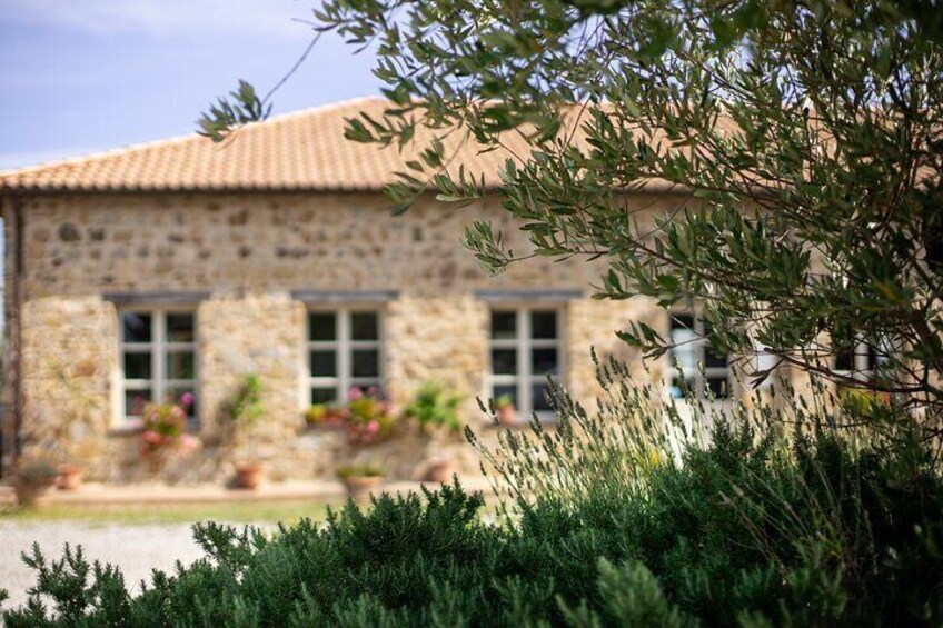 Montalcino & Maremma Tasting with a bite to eat