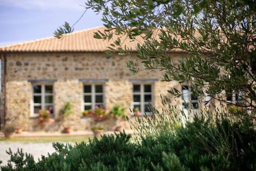 Montalcino & Maremma Tasting with a bite to eat