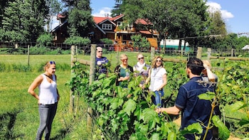 Cowichan Valley Wine Tour