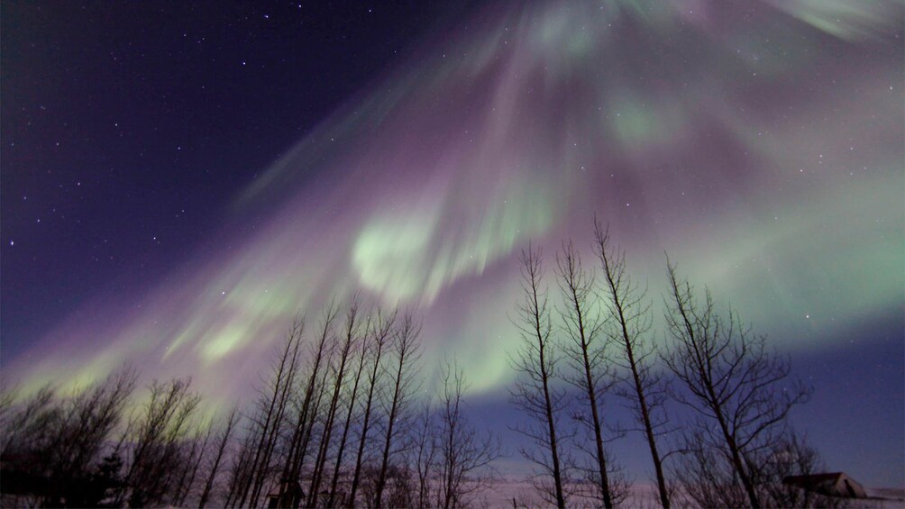 Magnificent view of the Northern Lights