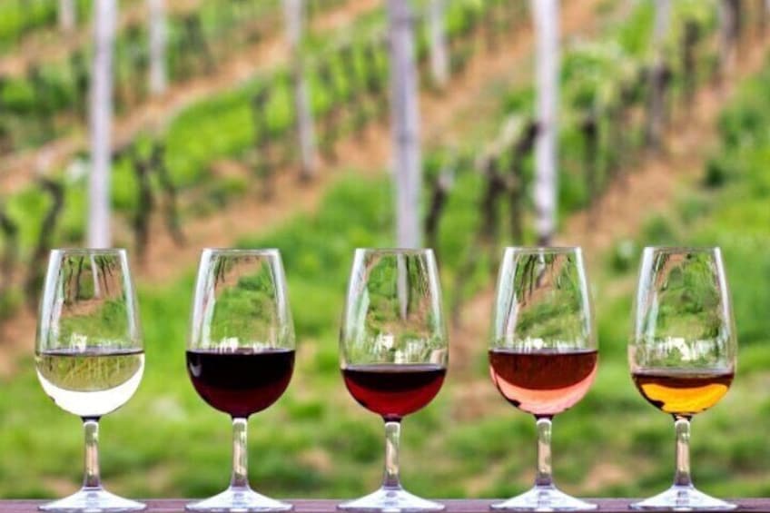 From Los Angeles: Vineyard Picnic, Seaside Wine & Chocolate
