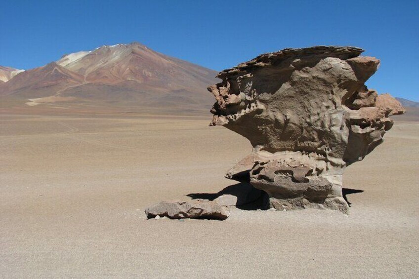 The Stone Tree in the Siloli Desert