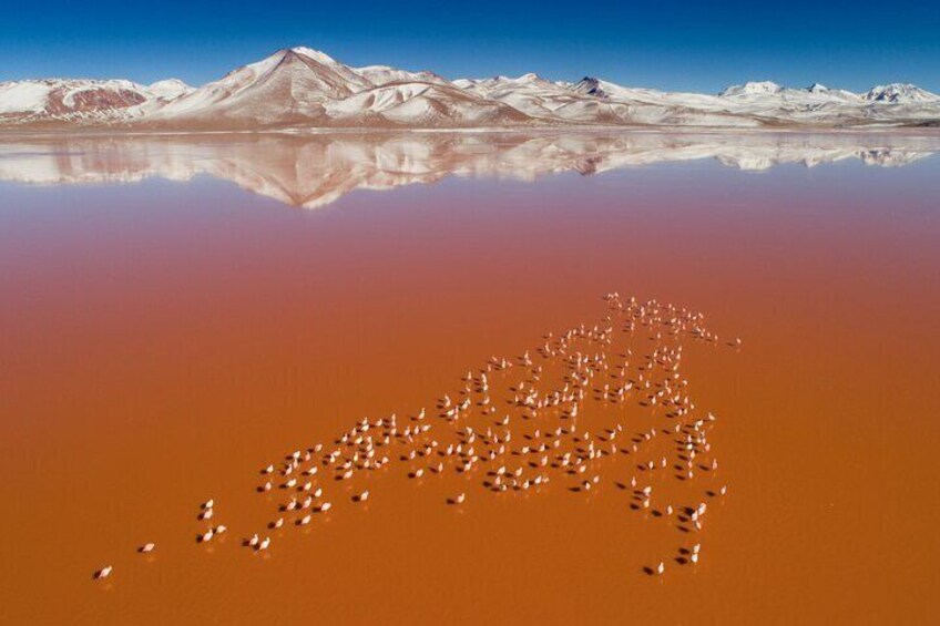 3-Days Tour to the Uyuni Salt Flats and Colored Lagoons 