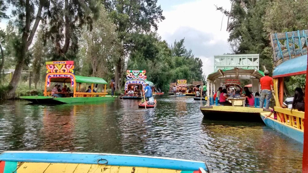 Xochimilco Local Market Tequila Tasting Tour