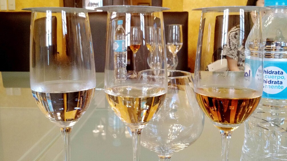 Tequila tasting in Cancun