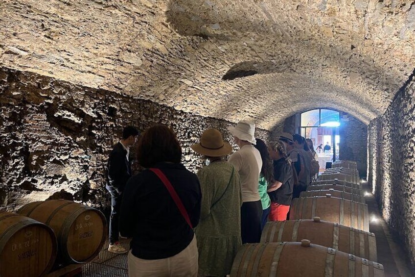 Montepulciano and Chianti in 1 day + lunch&transfer from Florence