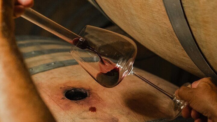Backstage Brunello & Gourmet Wine-Food Tasting in Montalcino