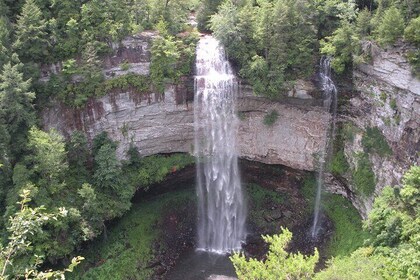 Nashville to Fall Creek Falls All Inclusive Full Day Adventure
