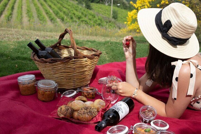 A picnic in the vineyard with a view, wine & Tuscan specialities